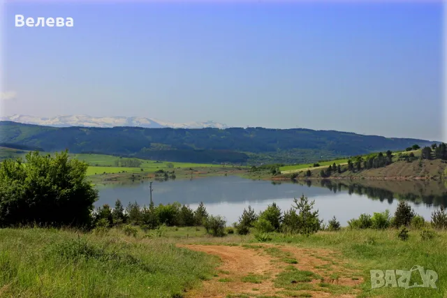 парцел в с. Долна Диканя, снимка 5 - Парцели - 50065752