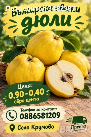 Продавам български дюли            