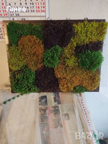 Жива картина от стабилизиран мъх, снимка 16 - Картини - 39416659