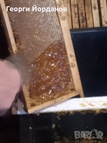 100% чист мед, снимка 4 - Пчелни продукти - 37349972