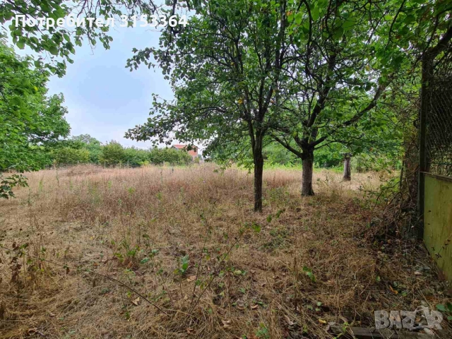 Продава се УПИ с вила и двор – с. Червен (долната част) 🌿, снимка 3 - Парцели - 51491513