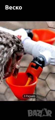Хранилки и поилки за кокошки, снимка 5 - Кокошки и пуйки - 50181495