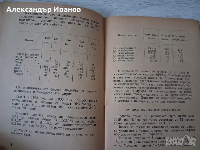 Стара книга,брошура "Говедовъдна ферма в с. душанци" 1955 г., снимка 3 - История, политика и общество - 55866651