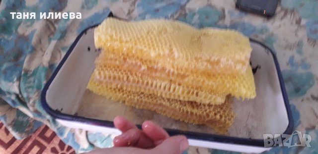 Чист пчелен мед, снимка 5 - Други животни - 35052724