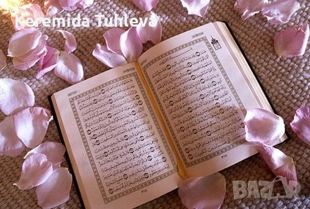 Ходжа Денис Али