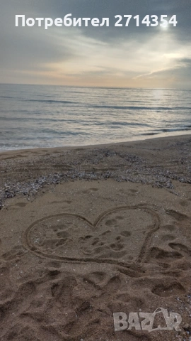 Мъж и жена търсят сезонна работа на морето 