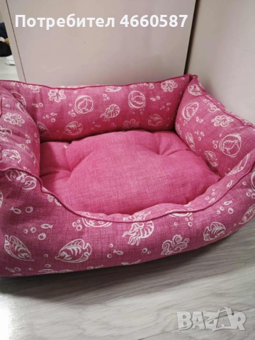 продавам кокер шпаньол – перфектно кутренце с пълен комплект!, снимка 3 - Шпаньоли - 52535823