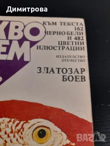 Стара книга Какво знаем за птиците, снимка 6 - Енциклопедии, справочници - 50428294