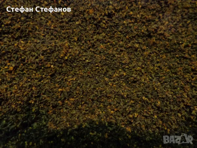 Тинктура от восъчен молец. Направи си сам., снимка 4 - Хранителни добавки - 47308296