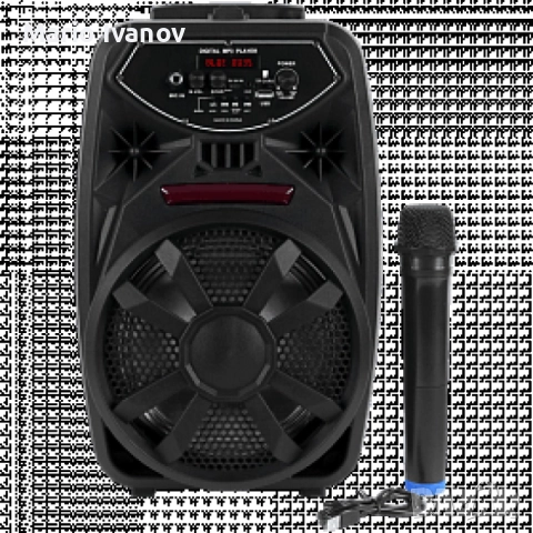 Преносим Bluetooth високоговорител с вход за микрофон PK-09(L), снимка 3 - Bluetooth тонколони - 52855075