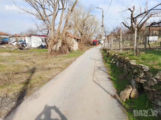 Дворно място с. Шереметя, снимка 5 - Парцели - 32777475