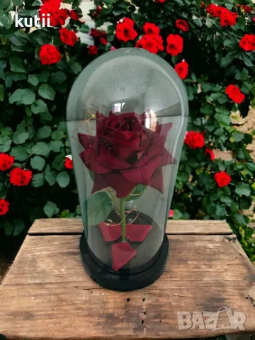 💥🔥НАМАЛЕНИЕ на ПОСЛЕДНИ БРОЙКИ КРАСИВА ОСВЕТЕНА РОЗА В СТЪКЛЕНИЦА🔥 👉ПРОМО ЦЕНА :15,99 лв🔥, снимка 1