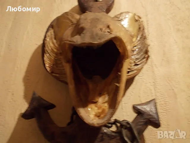 Стар риболовен трофей, снимка 3 - Антикварни и старинни предмети - 49878398
