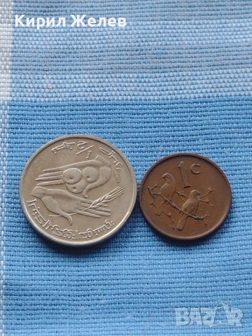 Две монети 1/2 динарий 1977г. Тунис - 1 цент 1966г. Африка 41174