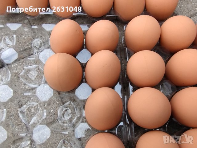 Изкуствени пластмасови яйца за кокошки тежки, снимка 6 - За птици - 40032040