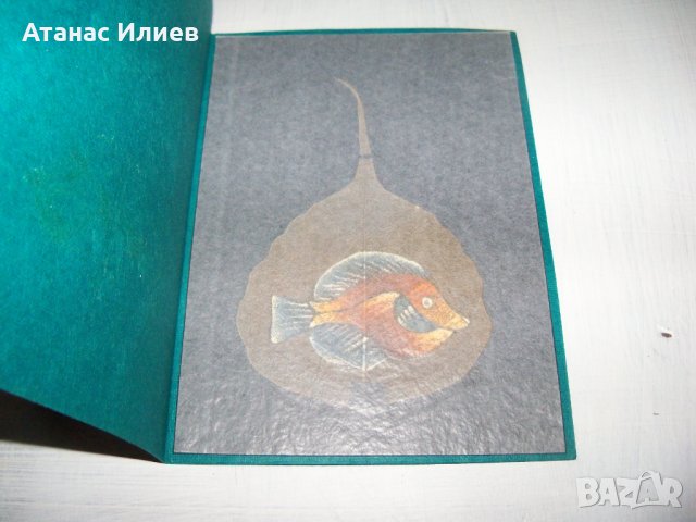 Ръчно рисувана картичка върху листо от дървото Бодхи, Индия 8, снимка 3 - Други ценни предмети - 35593998