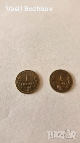 Две монети от 1981г., снимка 2 - Нумизматика и бонистика - 53934888