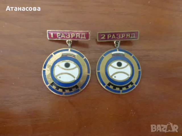 Редки водолазни значки 2 бр "1 и 2 разряд" емайл 1955 г значка, снимка 1