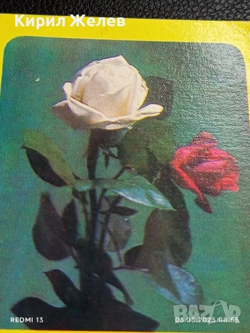 Старо календарче серия ЦВЕТЯ много красиво за КОЛЕКЦИЯ ДЕКОРАЦИЯ 35338, снимка 2 - Колекции - 51232541