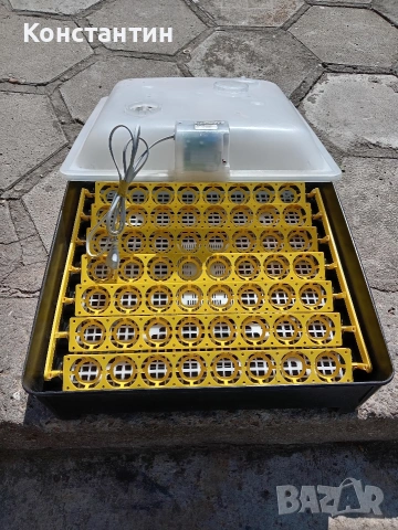 Инкубатор за яйца (Cleo/Argis) – Капацитет 56 яйца, снимка 2 - За птици - 54333073