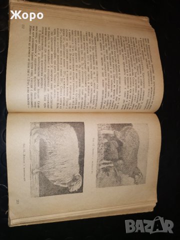 Овцевъдство, снимка 4 - Специализирана литература - 31306209