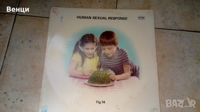 HUMAN SEXUAL RESPONSE - грамофонна плоча  Lp., снимка 3 - Грамофонни плочи - 44931041