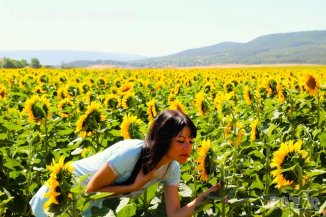 Фотографски услуги , снимка 8 - Фотографи - 53210411