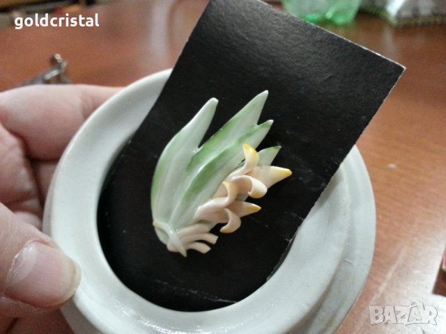 Порцеланова брошка , снимка 3 - Антикварни и старинни предмети - 40621799