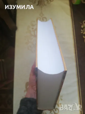 Хиляда и една (1001) нощ - староарабски приказки в един том, снимка 4 - Детски книжки - 48812915