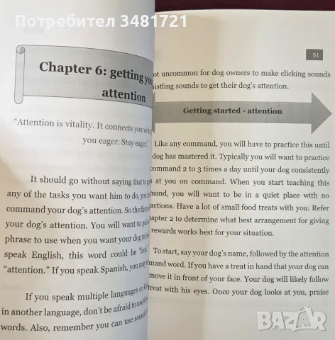 Training Super Service Dogs. How To Train The Most Supportive Service Dog And Companion, снимка 6 - Други - 55964060
