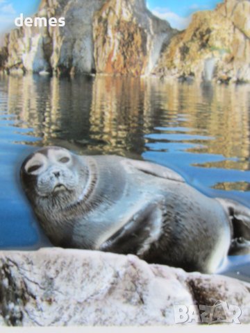  3D магнит от езерото Байкал, Русия-серия, снимка 3 - Колекции - 44684708