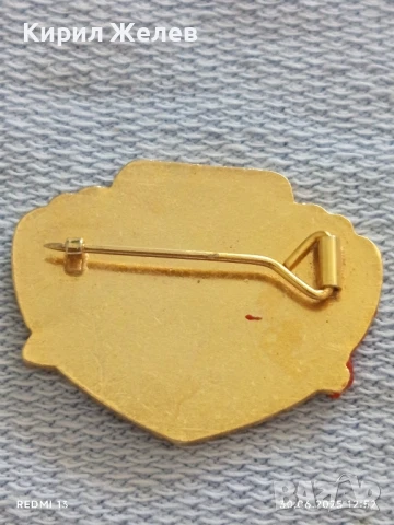 Рядка значка с емайл на ШВЕДСКАТА АСОЦИАЦИЯ по ВДИГАНЕ НА ТЕЖЕСТИ 29392, снимка 5 - Колекции - 50847208