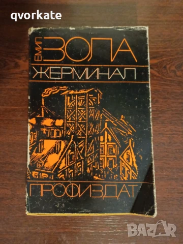 Терез Ракен-Емил Зола, снимка 3 - Художествена литература - 16623777