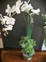 Изкуствена орхидея в кашпа, снимка 2