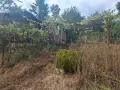 Продава се парцел (УПИ) във вилна зона Чeканица, гр. Ботевград - 525 кв.м, снимка 6