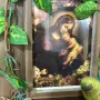 Картина Мадона и младенец като ново, Германия от 60-те години, снимка 1