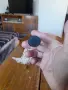 Стар риболовен кеп, снимка 3