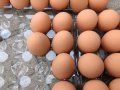 Изкуствени пластмасови яйца за кокошки тежки, снимка 6