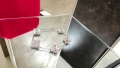Van Cleef & Arpels VCA Silver Clear 5 Motifs Vintage Alhambra Дамска Гривна, снимка 7