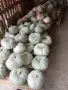 Сладки тикви за варене и печене., снимка 1