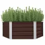 vidaXL Повдигната леха, кафява, 129x129x45 см, поцинкована стомана, снимка 1