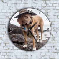 Стенен Часовник - Забавно Куче С Шапка На Скалите, снимка 1 - Стенни часовници - 42810111