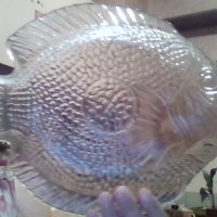 Стъклено плато форма на риба ,ордьоври , снимка 1 - Прибори за хранене, готвене и сервиране - 37970903
