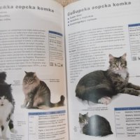 Книга "Всичко за котката - д-р Брус Фогъл" - 288 стр., снимка 6 - Специализирана литература - 42499977