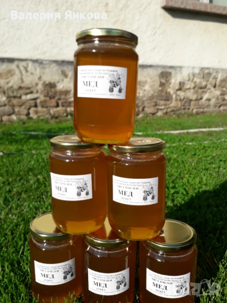 Пчелен мед - 100 % натурален реколта 2025г, снимка 1