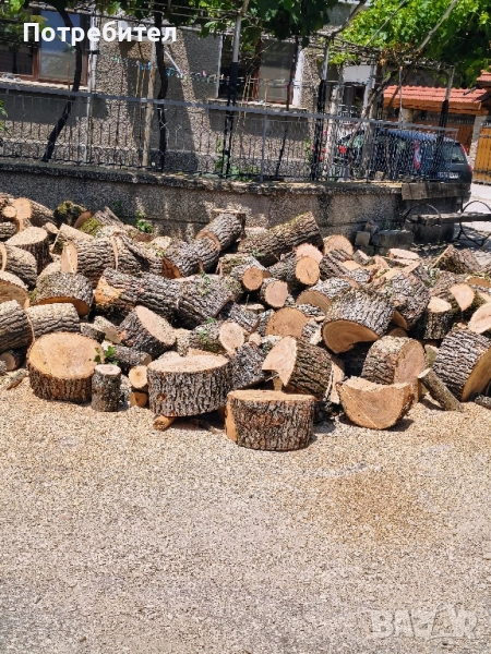 рязане на дърва за огрев и кастрене на дървета, снимка 1