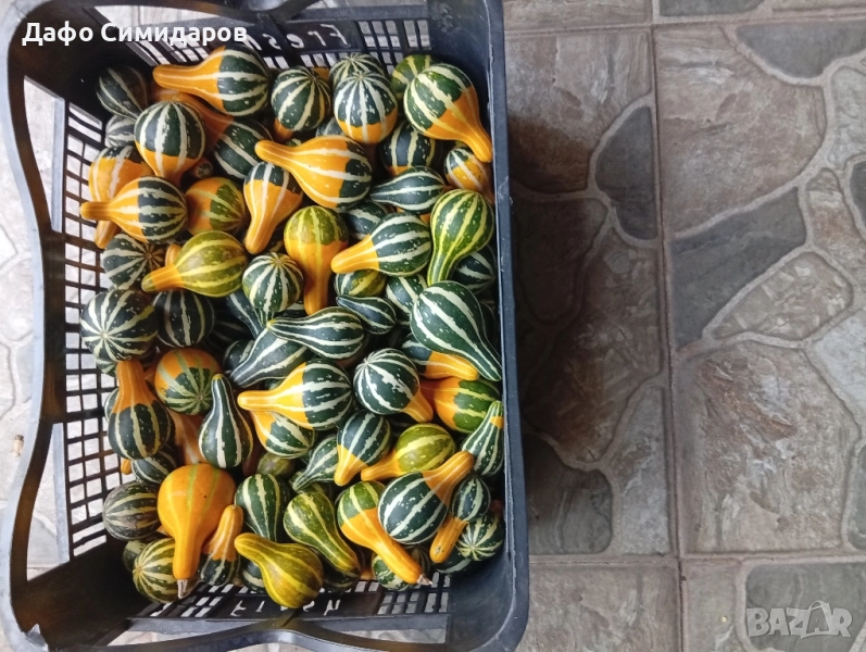 декоративни кратунки , снимка 1