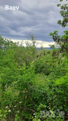 Продавам Парцел в Ментишето Аксаково Собственик, снимка 9 - Парцели - 50480011