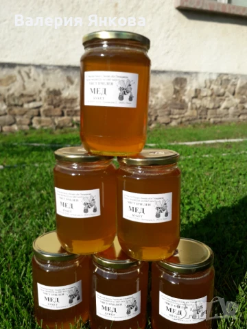 Пчелен мед - 100 % натурален реколта 2025г