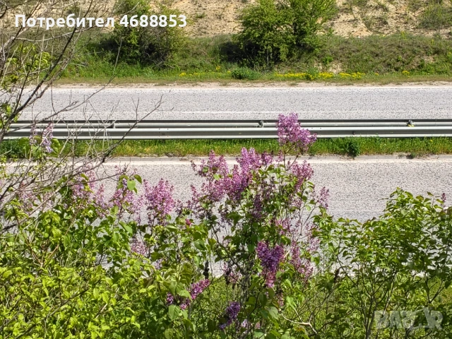 Земеделска земя гр. Дебелец, снимка 6 - Парцели - 54292349